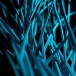 ai-neurons